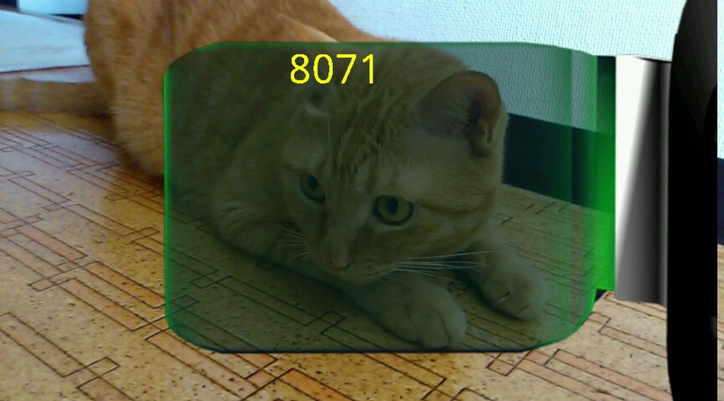 ニャンピース ルフィの戦闘力測定